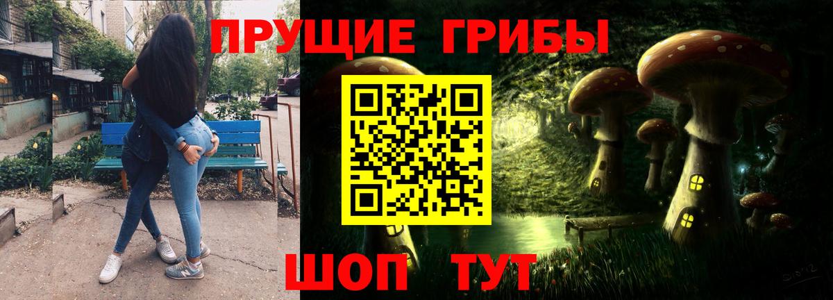 Галлюциногенные грибы Psilocybe  Вход с VPN  Свободный 